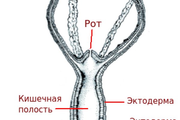 Кракен наркоман