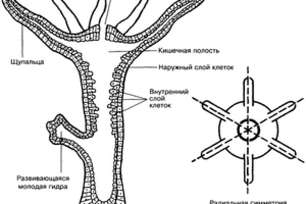 Регистрация на сайте кракен